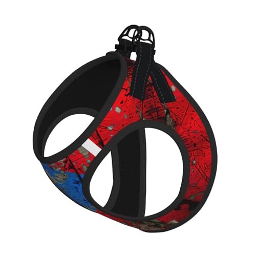 M Haustier-Leine, Hundegeschirr, kleine Größe, Puerto Rico, Tapeten-Flagge, bedruckt, Leinen-Set mit Schnalle, Hundebegleiter, Outdoor-Hund von LLOTPQ