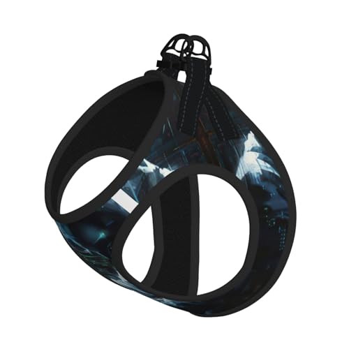 M Pet Leash Vest Dog Harness - Small Size Hacker Attack Print Leash Set with Buckle, Canine Companion Outdoor dog walking M Pet Leash Vest Dog Harness - Small Size Hacker Attack Print Leash Set with Buckle, Canine Companion Outdoor dog walking von LLOTPQ