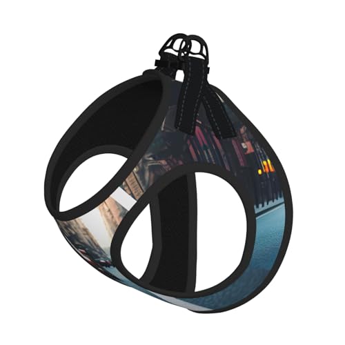 M Pet Leash Vest Hundegeschirr – kleine Größe, rotes Auto- und Fahrrad-Leinen-Set mit Schnalle, Hundebegleiter, Outdoor-Spaziergänge M Pet Leash Vest Hundegeschirr – kleine Größe, rotes Auto- und Fahrrad-Leinen-Set mit Schnalle, Hundebegleiter, Outdoor-Spaziergänge von LLOTPQ
