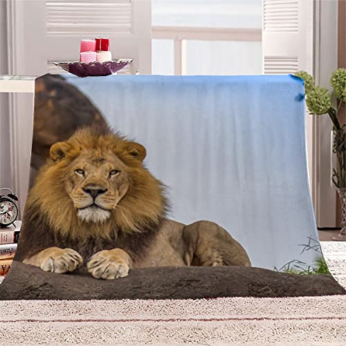 König Der Löwen Kuscheldecke 150x200 cm Flanell Decke Extra Weich Flauschige Wohndecke Löwe mit Muster Blanket Fleecedecke Waschbar Microfaser Sofadecke Couchdecke bettüberwurf von LLSL