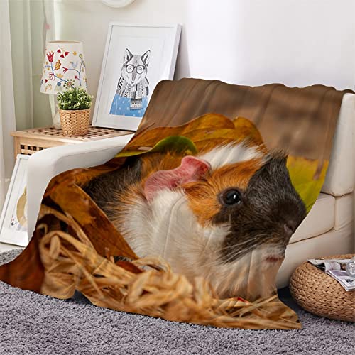 Kuscheldecke Baby 70x100 cm Meerschweinchen Flanell Decke Extra Weich Flauschige Wohndecke Tier Meerschweinchen mit Muster Blanket Fleecedecke Waschbar Microfaser Sofadecke für Jungen Mädchen von LLSL
