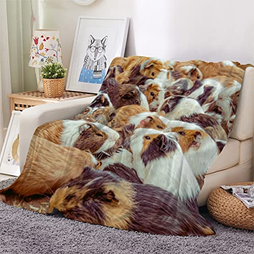 LLSL Meerschweinchen Kuscheldecke 150x200 cm Flanell Decke Extra Weich Flauschige Wohndecke Tier Meerschweinchen mit Muster Blanket Fleecedecke Waschbar Microfaser Sofadecke Couchdecke bettüberwurf von LLSL
