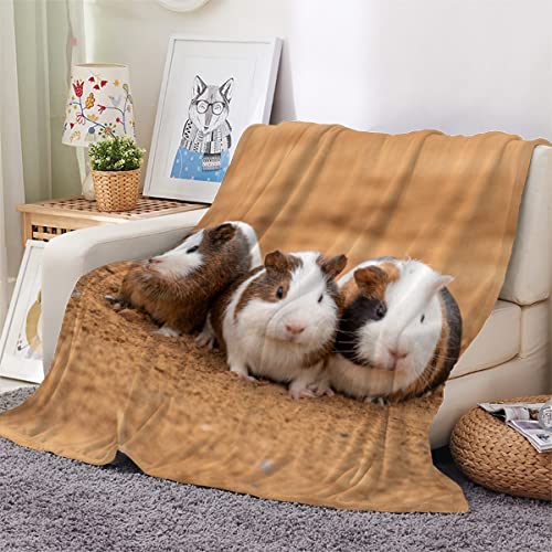 LLSL Meerschweinchen Kuscheldecke 150x200 cm Flanell Decke Extra Weich Flauschige Wohndecke Tier Meerschweinchen mit Muster Blanket Fleecedecke Waschbar Microfaser Sofadecke Couchdecke bettüberwurf von LLSL