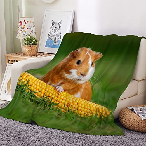 Meerschweinchen Kuscheldecke 150x200 cm Flanell Decke Extra Weich Flauschige Wohndecke Tier Meerschweinchen mit Muster Blanket Fleecedecke Waschbar Microfaser Sofadecke Couchdecke bettüberwurf von LLSL