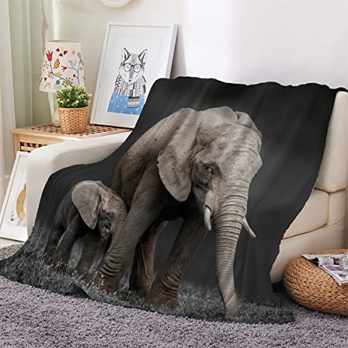 Tierischer Elefant Kuscheldecke 150x200 cm Flanell Decke Extra Weich Flauschige Wohndecke Elefantenmutter Und -kind mit Muster Blanket Fleecedecke Waschbar Microfaser Sofadecke Couchdecke bettüberwurf von LLSL