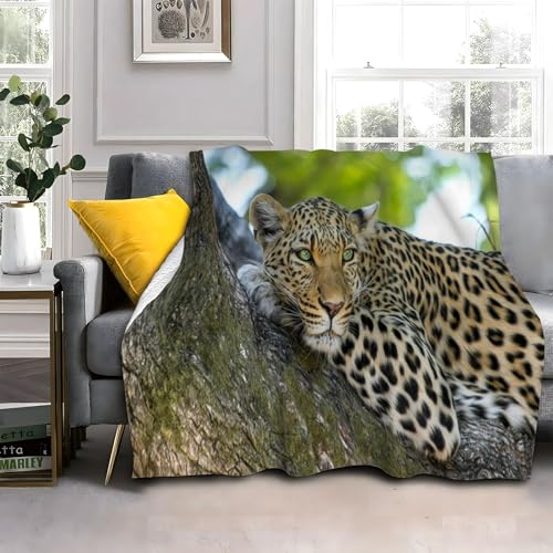 Flauschig Kuscheldecke 150x200cm Helloranger Leopard Wohndecke Warm Weiche Hautfreundlich Waschbar Kinder Erwachsene für Wohnzimmer, Schlafzimmer, Camping, Picknick Flauschig Kuscheldecke 150x200cm Helloranger Leopard Wohndecke Warm Weiche Hautfreundlich Waschbar Kinder Erwachsene für Wohnzimmer, Schlafzimmer, Camping, Picknick von LLSZAHD