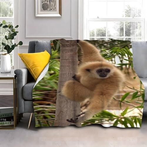 Flauschig Kuscheldecke 150x200cm Tier Gibbon Wohndecke Warm Weiche Hautfreundlich Waschbar Kinder Erwachsene für Wohnzimmer, Schlafzimmer, Camping, Picknick von LLSZAHD