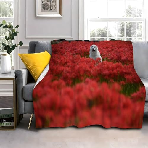 Flauschig Kuscheldecke 150x200cm Weißer Hund Wohndecke Warm Weiche Hautfreundlich Waschbar Kinder Erwachsene für Wohnzimmer, Schlafzimmer, Camping, Picknick von LLSZAHD