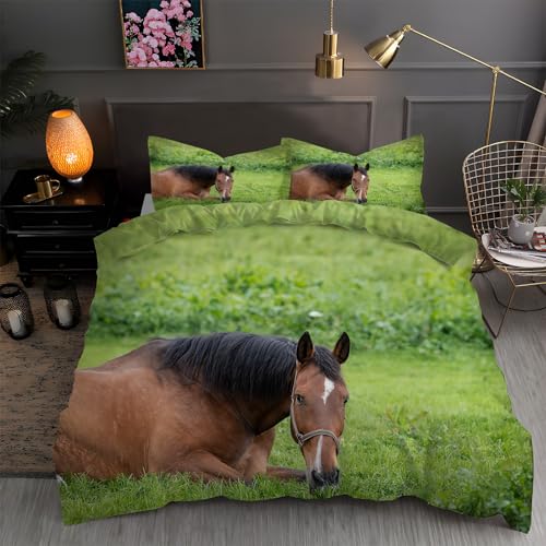 LLSZAHD BettwäSche 135x200 Pferd Bettbezug 135x 200 3 Teilig mit ReißVerschluss Wiese Weich und bügelfrei BettwäSche-Sets - WendebettwäSche mit 2 Kissenbezug 80x80 LLSZAHD BettwäSche 135x200 Pferd Bettbezug 135x 200 3 Teilig mit ReißVerschluss Wiese Weich und bügelfrei BettwäSche-Sets - WendebettwäSche mit 2 Kissenbezug 80x80 von LLSZAHD
