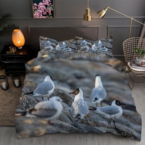 LLSZAHD BettwäSche 220x240 Schmetterling Bettbezug 220x240 3 Teilig mit ReißVerschluss Blumen Weich und bügelfrei BettwäSche-Sets - WendebettwäSche mit 2 Kissenbezug 80x80 von LLSZAHD