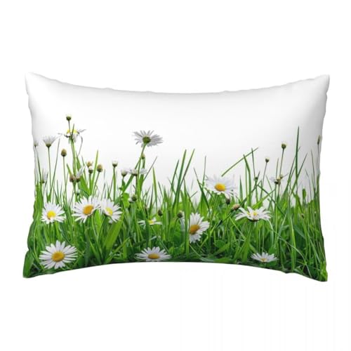 Kissenbezug 70x90 cm 2er Set Frühling Samt Kissenbezüge Dekokissen Gänseblümchen Kissenhülle, Weicher Dekorativer Sofakissen mit Verstecktem Reißverschluss für Sofa Schlafzimmer Wohnzimmer -TER146 von LLWYH