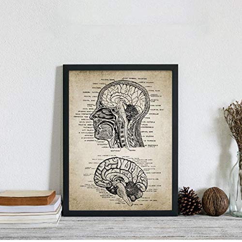 LLXHG Vintage Menschenkopf Und Gehirn Anatomie Leinwand Kunstdrucke Poster Neurowissenschaften Menschliche Anatomie Malerei Ärzte Büro Wandkunst Dekor-21X30Cm Kein Rahmen LLXHG Vintage Menschenkopf Und Gehirn Anatomie Leinwand Kunstdrucke Poster Neurowissenschaften Menschliche Anatomie Malerei Ärzte Büro Wandkunst Dekor-21X30Cm Kein Rahmen von LLXHG