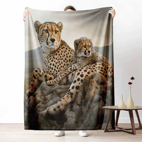 3D Fleecedecke Barock Botanisch KuscheldeckeFantasie Meerjungfrau Flauschig & Weich Retro Fahrrad Wohndecke für Sofa, Bett, Couch, Warm und Gemütlich, 230x270 cm 3D Fleecedecke Barock Botanisch KuscheldeckeFantasie Meerjungfrau Flauschig & Weich Retro Fahrrad Wohndecke für Sofa, Bett, Couch, Warm und Gemütlich, 230x270 cm von LLponhg