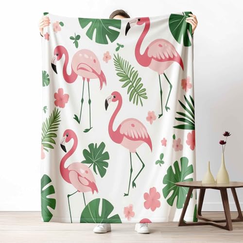 Kuscheldecke Flauschig Tropische Flamingo Wohndecke für Sofa & Bett Botanisch Blatt Weiche Warme Decke Blumenpflanzen Monstera Fleecedecke für Kinder & Erwachsene, 70x100 cm Kuscheldecke Flauschig Tropische Flamingo Wohndecke für Sofa & Bett Botanisch Blatt Weiche Warme Decke Blumenpflanzen Monstera Fleecedecke für Kinder & Erwachsene, 70x100 cm von LLponhg