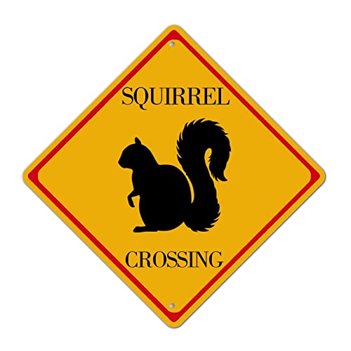 LMMIXEE Schild mit Aufschrift "Caution Squirrel Crossing Xing", lustiges Metallschild, rostiges Straßenschild, langsames Eichhörnchen, Kreuzungszone, Warnung, Warnschild, Rautenform, Metallblechschild von LMMIXEE