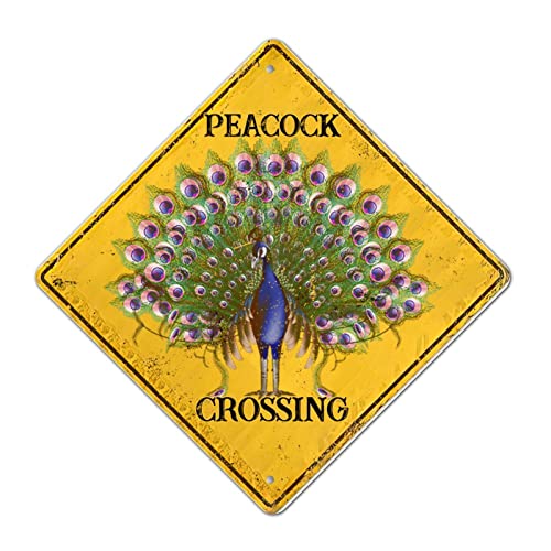 Pfau Xing Crossing Schild Vorsicht Pfau Xing Retro Retro Metall Blechschild Vorsicht vor Pfau Kreuzung Warnschild Farbecht Resistant Straßenschild Plakette für Bauernhaus Bauernhof Hof Lustiges von LMMIXEE