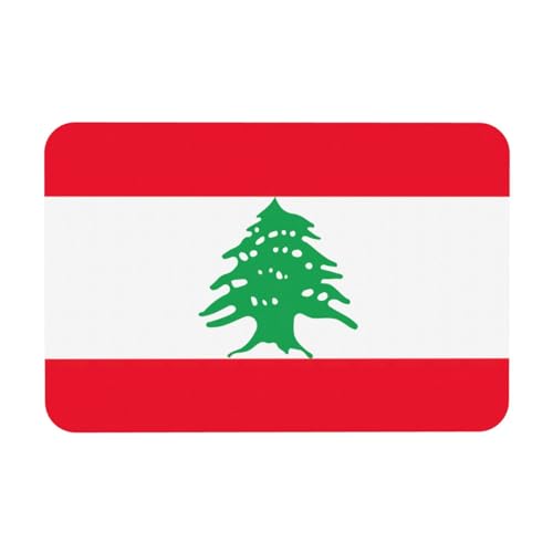 LMNUDS Badematte mit Libanon-Flagge, Kieselgur-Duschmatte, rutschfest, für Badezimmerboden, kompaktes Design, 24 x 40 cm von LMNUDS