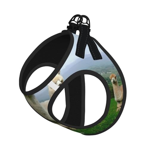 Alpaka-Familien-Aufdruck, verstellbares Geschirr-Set für Katzen und Hunde, weich, atmungsaktiv, Kätzchen-Welpen-Netzweste mit reflektierendem Design, ausbruchsichere Leine für kleine Haustiere von LMNvbz
