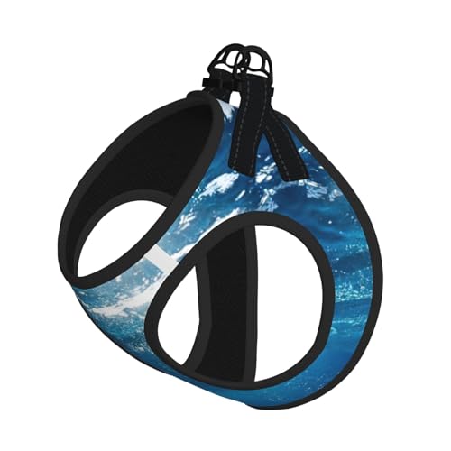 Blue Ocean Hundegeschirr, verstellbar, für Katzen und Hunde, weich, atmungsaktiv, mit reflektierendem Design, ausbruchsichere Leine für kleine Haustiere von LMNvbz