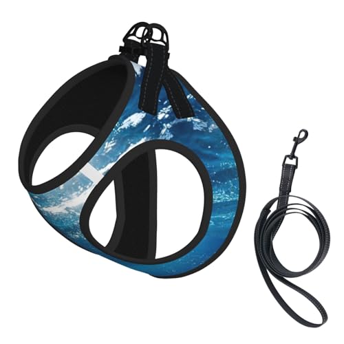 Blue Ocean Hundegeschirr, verstellbar, für Katzen und Hunde, weich, atmungsaktiv, mit reflektierendem Design, ausbruchsichere Leine für kleine Haustiere von LMNvbz