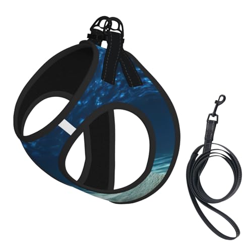 Blue Ocean Hundegeschirr, verstellbar, für Katzen und Hunde, weich, atmungsaktiv, mit reflektierendem Design, ausbruchsichere Leine für kleine Haustiere von LMNvbz