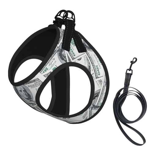 Lustiges Dollar-Gelddruck-Hundegeschirr, verstellbar, für Katzen und Hunde, weich, atmungsaktiv, Kätzchen-Welpen-Netzweste mit reflektierendem Design, ausbruchsichere Leine für kleine Haustiere von LMNvbz