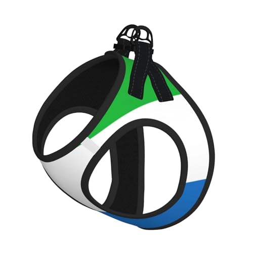 Sierra Leone Hundegeschirr, verstellbar, für Katzen und Hunde, weich, atmungsaktiv, Netzweste mit reflektierendem Design, ausbruchsichere Leine für kleine Haustiere von LMNvbz
