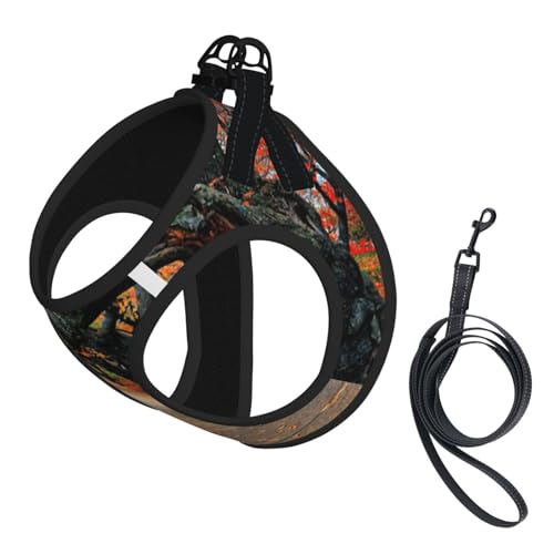 Verstellbares Geschirr-Set für Katzen und Hunde, bedruckt, Baum im Herbst, weich, atmungsaktiv, für Kätzchen, Welpen, Netzweste mit reflektierendem Design, ausbruchsichere Leine für kleine Haustiere von LMNvbz