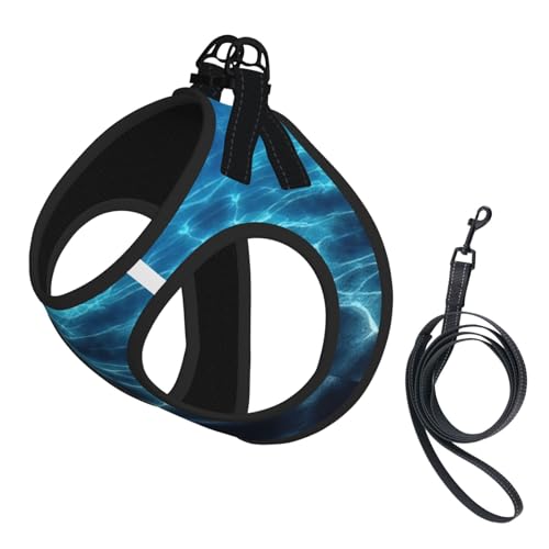 Verstellbares Geschirr-Set für Katzen und Hunde, weich, atmungsaktiv, mit reflektierendem Design, ausbruchsichere Leine für kleine Haustiere, Blau von LMNvbz