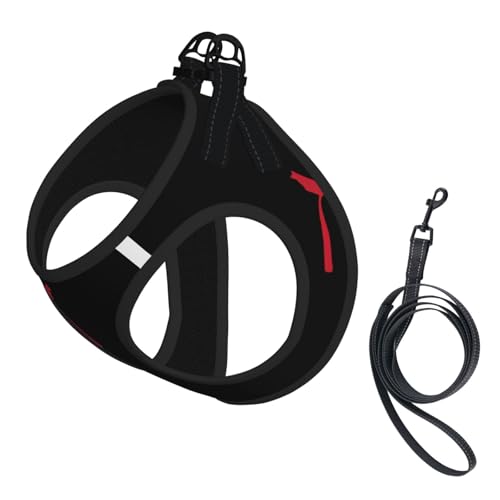 Verstellbares Hundegeschirr mit Karate-Aufdruck für Katzen und Hunde, weich, atmungsaktiv, Kätzchen-Welpen-Netzweste mit reflektierendem Design, ausbruchsichere Leine für kleine Haustiere von LMNvbz