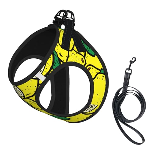 Yellow Lemon1 Hundegeschirr, verstellbar, für Katzen und Hunde, weich, atmungsaktiv, mit reflektierendem Design, ausbruchsichere Leine für kleine Haustiere von LMNvbz
