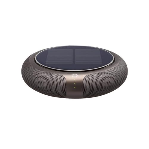 LMQHBG Auto Luftreiniger für Smart 2010-2018 2019 2020 2021 2022 2023,Tragbare Compact Solar Powered HEPA Filtrationsgerät Lufterfrischer Fahrt Rauchstaub Geräuscharm Zubehör Innenraum,Gold von LMQHBG