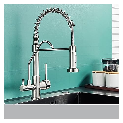 LMRJHAZM Matte schwarze Küche gefilterte Wasserhahn Wasserhahnreiniger Wasserhahn Dual-Sprüher-Trinkwasserhahn 360 Rotationsreinigungsmischer (Typ B-Chrom) von LMRJHAZM