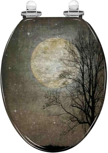 Sanft schließender WC-Sitz aus Kunstharz, Schnellverschluss und einfache Montage, Standard-Toilettensitze für Badezimmer-Upgrade (Stil P) von LMYFGHRD