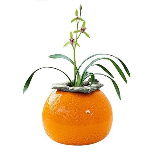 LNGODEHO Kreative Keramik-Kaki, Hydrokultur, grüne Pflanzen, Vasenhalter, künstliches Gemüse und Obst, Cartoon-Stil für Heimdekoration (Orange, klein) von LNGODEHO