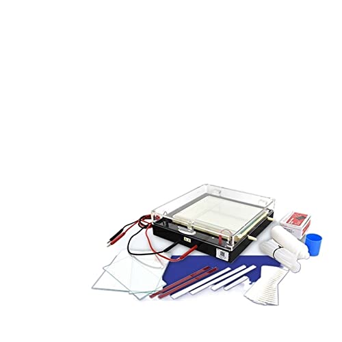 Elektrophoresegerät, DYCP-37B DYCP-38C DYCP-40C Chemisches Experiment, Das Forschung Isoelektrische Fokussierung Elektrophorese-Instrument Mehrzweck-Elektrophorese-Instrument Lehrt(DYCP-40C) von LNHHG