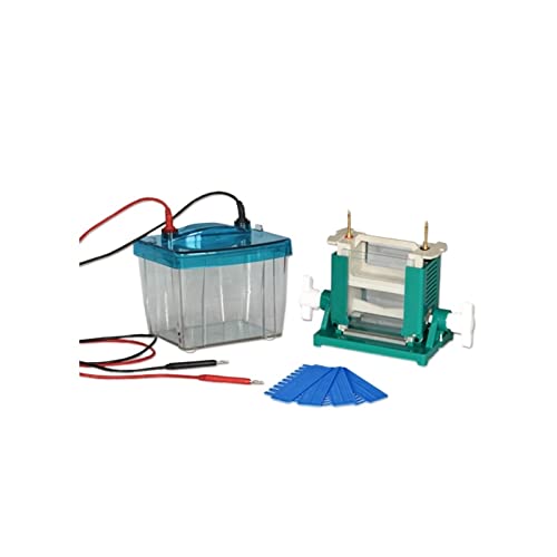 Elektrophoresegerät, DYCZ-25D Doppelter vertikaler Elektrophorese-Instrument-Elektrophorese-Tank von LNHHG