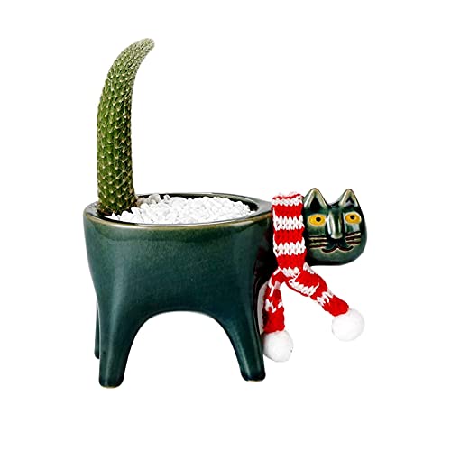 Katze Blumentopf - Keramik Sukkulenten Töpfe - Kleine Cartoon Katze Sukkulenten Übertöpfe - Tierform Saftige Topf Kaktus Pflanzentöpfe - Katzenform Kaktus Container Mit Schal Desktop Dekoration (Grau) von LNJ