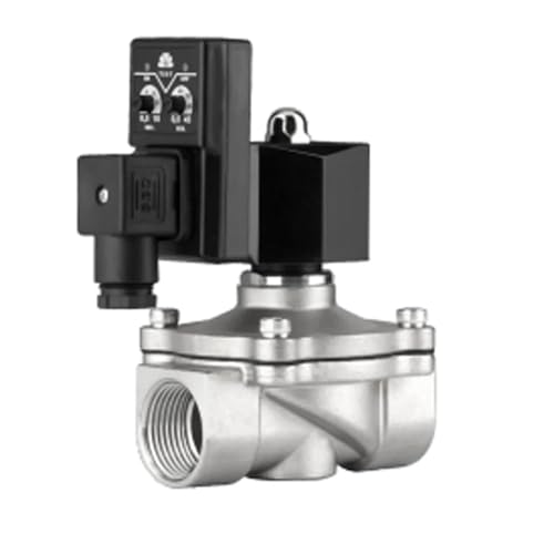 Zeitgesteuertes Magnetventil, AC220V DC24V, Edelstahl-Magnetventil, Zeitsteuerungs-Magnetventil, geeignet for Flüssiggasöl(BSP-12V,DN25) von LNMOUMEZB