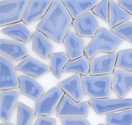 LNNXSZ Mosaik Fliesen 100 g Porzellan-Mosaikfliesen, DIY-Handwerk, Keramikfliesen-Mosaik-Herstellungsmaterialien(Light Blue) von LNNXSZ