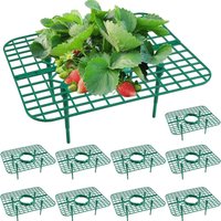 10 Erdbeerstützen - Erdbeerpflanzenstützen für den Garten - Stabile Erdbeer-Erntestütze - Erdbeerstützen für Gewächshaus, Gartenzubehör - Lntyq von LNTYQ