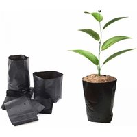 Lntyq - 100 Stück verdickte Kunststoff-Pflanzbeutel für Obst, Blumen, Setzlinge, Pflanzbeutel, Gartenpflanzen-Wachstumsbeutel mit atmungsaktiven von LNTYQ