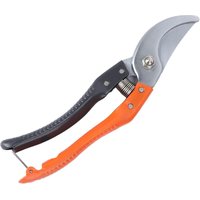 Lntyq - 1Pc Zweig Schere Gartenschere Für Gartenarbeit Rebschnitt Schere Gartenarbeit Werkzeug Garten Schere Baum Cutter Oder Schere von LNTYQ