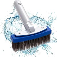 Lntyq - Schwimmbadbürste, 5,5 Zoll Edelstahl-Schwimmbadbürste, Poolbodenbürste, Drahtbürste für Spa, Teich, Poolwand, Reinigungswerkzeuge Lntyq - Schwimmbadbürste, 5,5 Zoll Edelstahl-Schwimmbadbürste, Poolbodenbürste, Drahtbürste für Spa, Teich, Poolwand, Reinigungswerkzeuge von LNTYQ