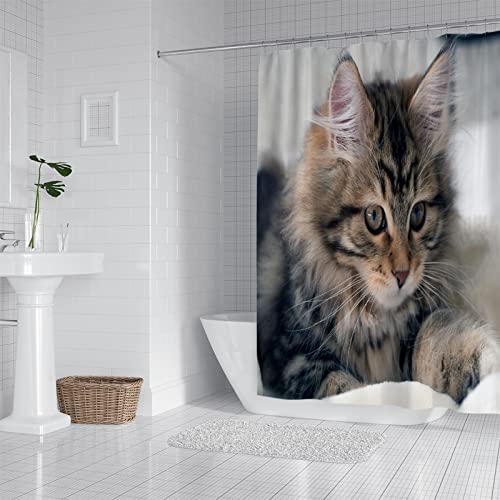 Duschvorhang 240x200 Katzentier Shower Curtains Polyester Duschvorhänge Antibakteriell Shower Curtain Duschvorhang Antischimmel mit 12 Duschvorhangringen Duschvorhang Badewanne von LNXSESN