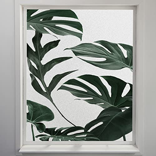 Fensterfolie Abstraktes Blatt Grün Sichtschutzfolie Fenster Klebstofffrei Fensterfolie Blickdicht Milchglasfolie Selbstklebend Fenster Fensterfolie Selbsthaftend Folie Fenster Sichtschutz 60x200cm Fensterfolie Abstraktes Blatt Grün Sichtschutzfolie Fenster Klebstofffrei Fensterfolie Blickdicht Milchglasfolie Selbstklebend Fenster Fensterfolie Selbsthaftend Folie Fenster Sichtschutz 60x200cm von LNXSESN