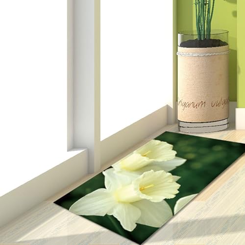Fußmatte Beige Blume Grün Rugs for Living Room Polyester Fussmatte Aussen Fußmatte Außen Innen Waschbar Teppiche Wohnzimmer Fusmatte Schmutzfangmatte Fußmatten Haustür Verdicken Doormat 100x120cm Fußmatte Beige Blume Grün Rugs for Living Room Polyester Fussmatte Aussen Fußmatte Außen Innen Waschbar Teppiche Wohnzimmer Fusmatte Schmutzfangmatte Fußmatten Haustür Verdicken Doormat 100x120cm von LNXSESN