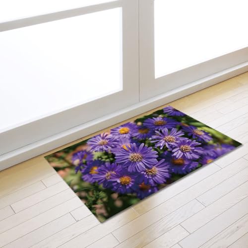 Fußmatte Braun Lila Rugs for Living Room Polyester Fussmatte Aussen Fußmatte Außen Innen Waschbar Teppiche Wohnzimmer Fusmatte Schmutzfangmatte Fußmatten Haustür Verdicken Doormat 50x80cm Fußmatte Braun Lila Rugs for Living Room Polyester Fussmatte Aussen Fußmatte Außen Innen Waschbar Teppiche Wohnzimmer Fusmatte Schmutzfangmatte Fußmatten Haustür Verdicken Doormat 50x80cm von LNXSESN