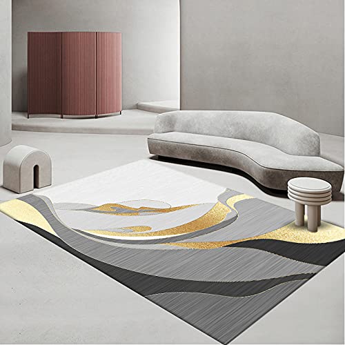 Fußmatte Goldgrau Drucken Carpet Rugs for Living Room Polyester Fussmatte Aussen Fußmatte Außen Innen Waschbar Outdoor Teppich Wohnzimmer Schmutzfangmatte Fusmatte Fußmatten Haustür 100x150 Fußmatte Goldgrau Drucken Carpet Rugs for Living Room Polyester Fussmatte Aussen Fußmatte Außen Innen Waschbar Outdoor Teppich Wohnzimmer Schmutzfangmatte Fusmatte Fußmatten Haustür 100x150 von LNXSESN