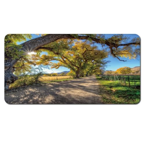 Fußmatte Grassland Baum Rugs for Living Room Polyester Fussmatte Aussen Fußmatte Außen Innen Waschbar Teppiche Wohnzimmer Fusmatte Schmutzfangmatte Fußmatten Haustür Verdicken Doormat 80x120cm von LNXSESN